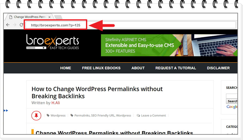 WordPress-Permalinks-Structure