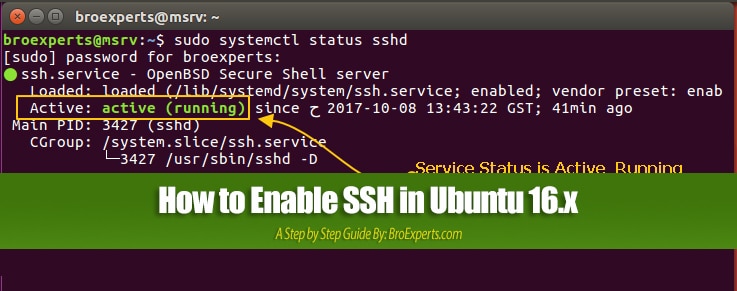 How to Enable SSH in Ubuntu 16.x – A Step by Step Guide