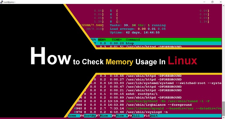 How to Check Memory Usage In Linux – 5 Commands